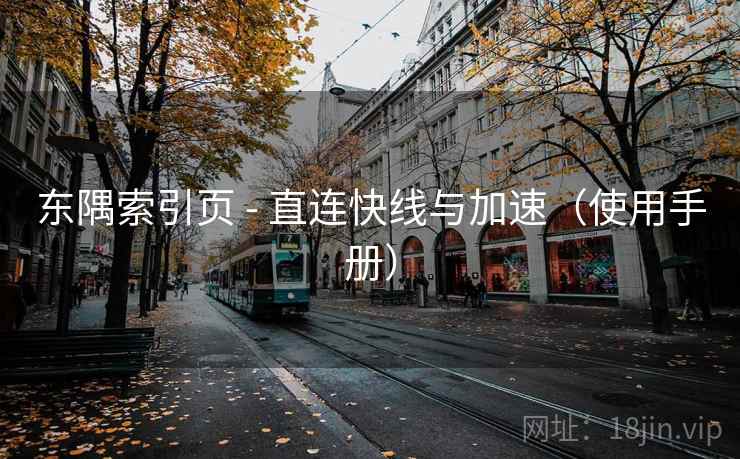 东隅索引页 - 直连快线与加速（使用手册）