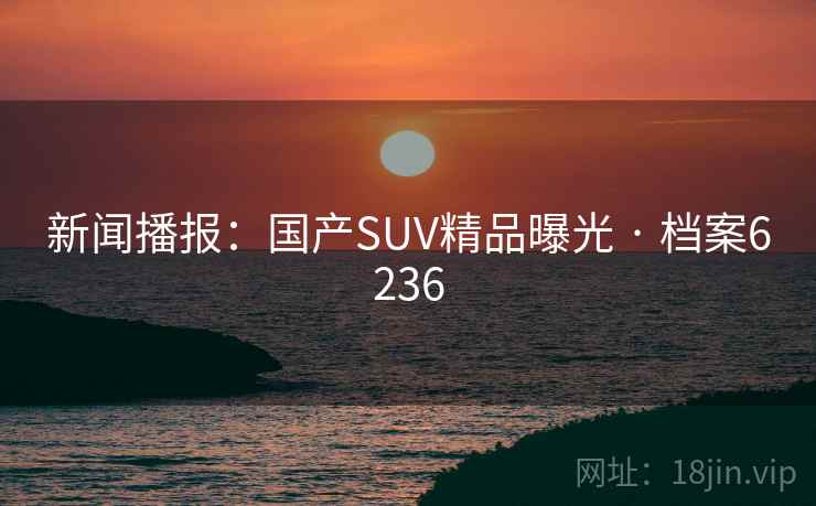 新闻播报:国产SUV精品曝光 · 档案6236 新闻播报:国产SUV精品曝光 · 档案6236