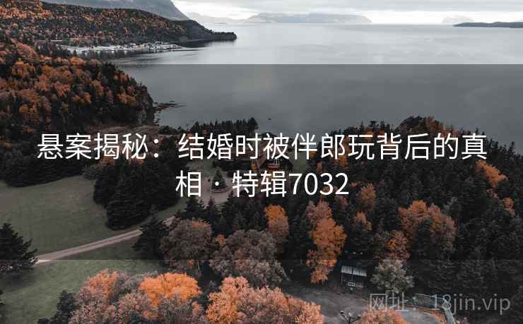 悬案揭秘:结婚时被伴郎玩背后的真相 · 特辑7032 悬案揭秘:结婚时被伴郎玩背后的真相 · 特辑7032