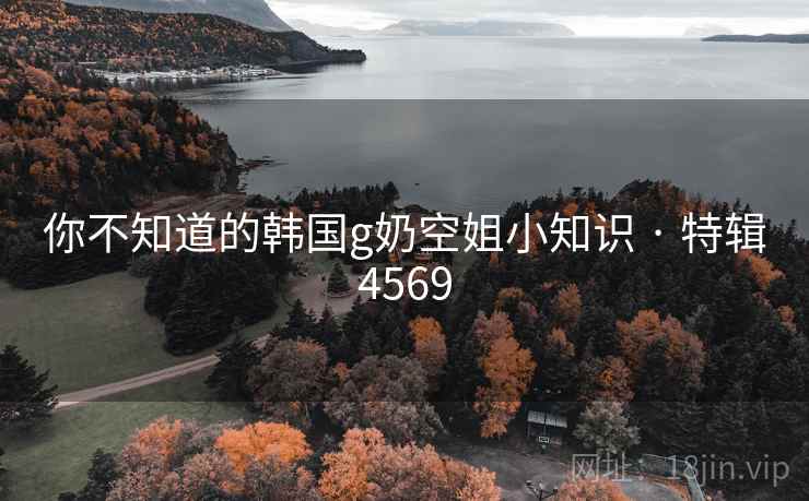 你不知道的韩国g奶空姐小知识 · 特辑4569